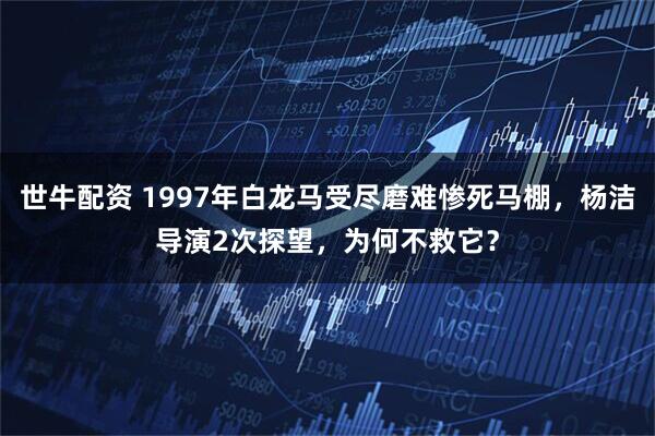 世牛配资 1997年白龙马受尽磨难惨死马棚，杨洁导演2次探望，为何不救它？